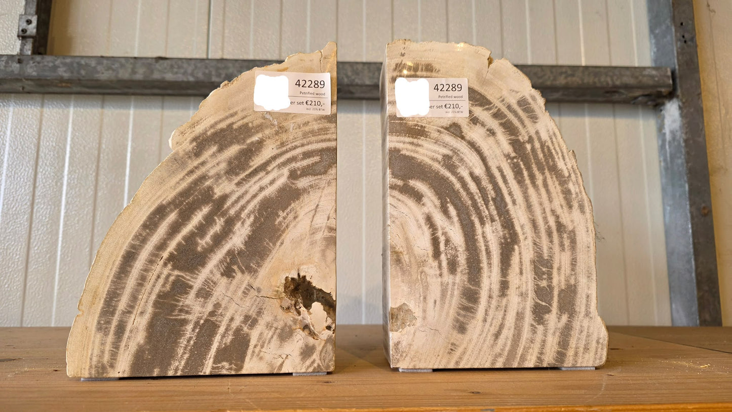 Coppia di fermalibri in legno pietrificato - 42289