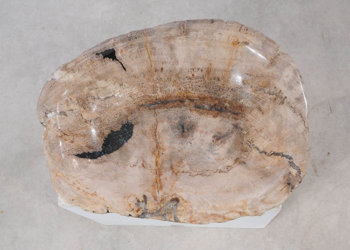 Ciotola in legno fossile - 54283