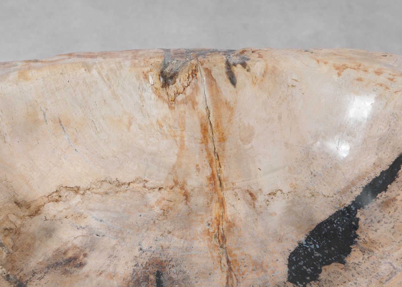 Ciotola in legno fossile - 54283