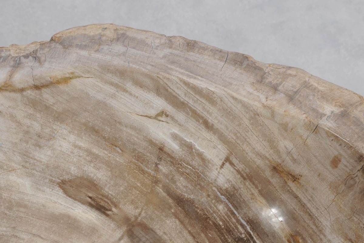 Lavandino da appoggio in legno pietrificato - 48320