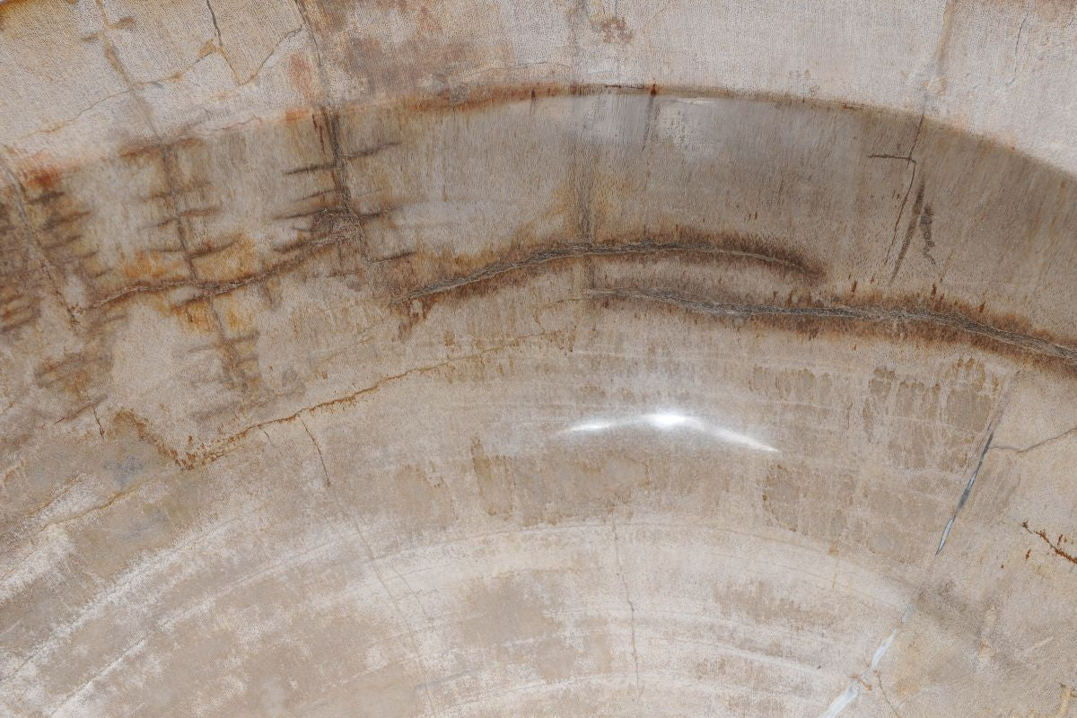 Lavandino da appoggio in legno pietrificato - 50217