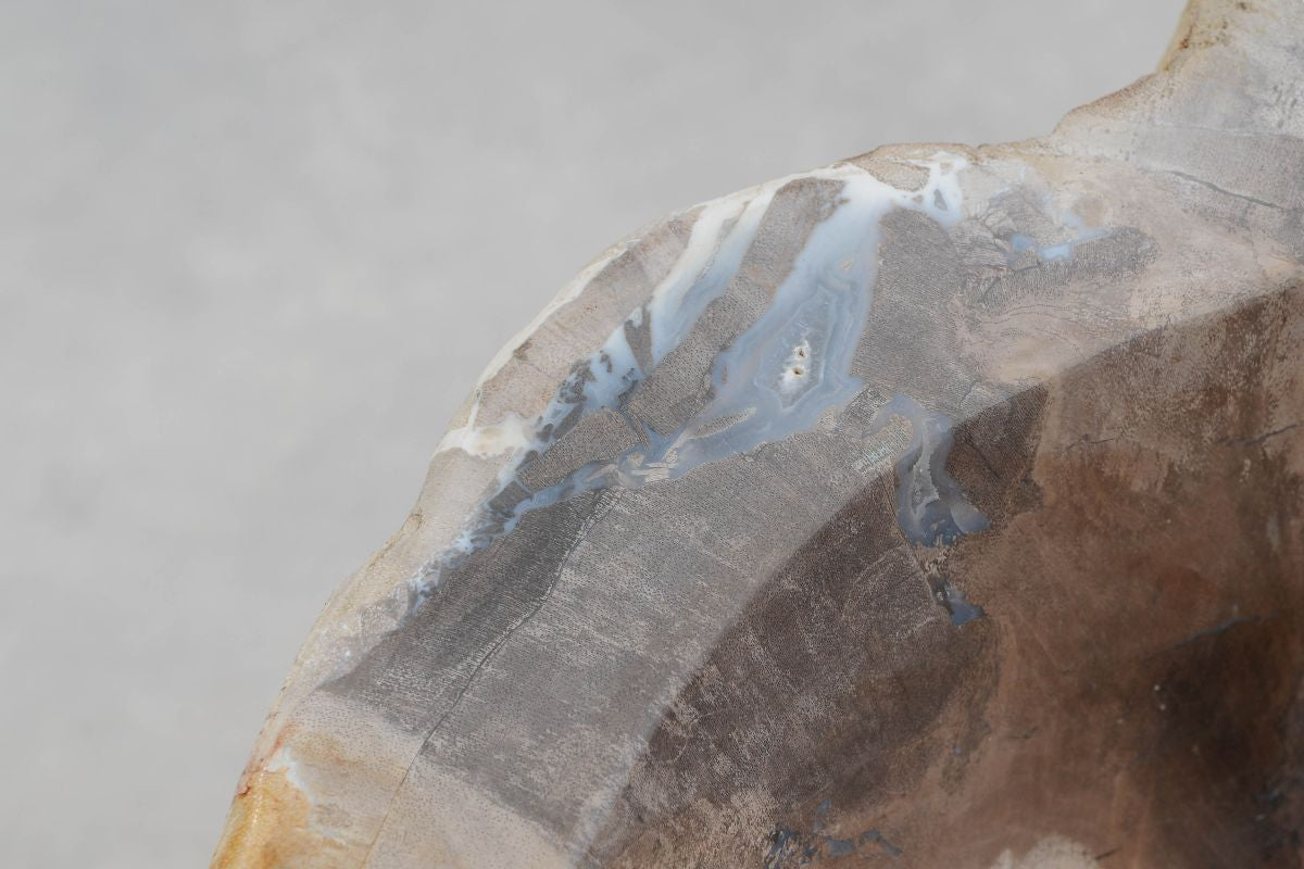 Lavandino da appoggio in legno pietrificato - 50224