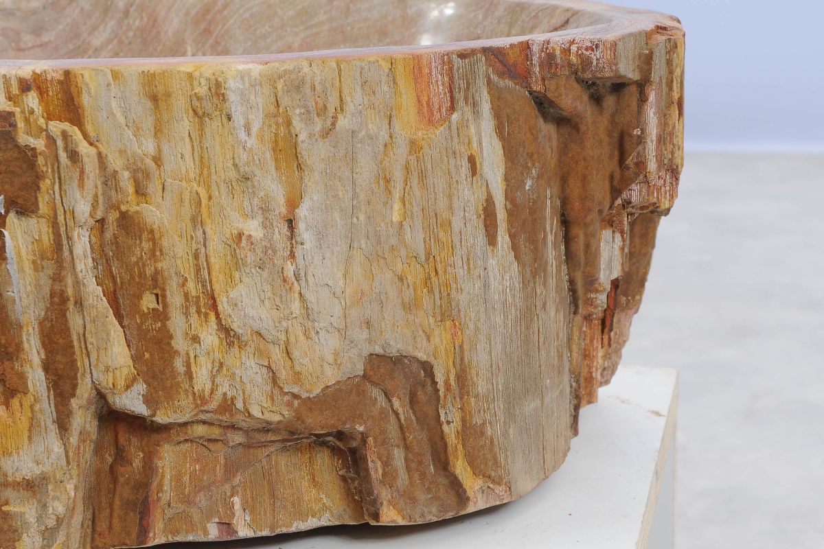 Lavandino da appoggio in legno pietrificato - 50228