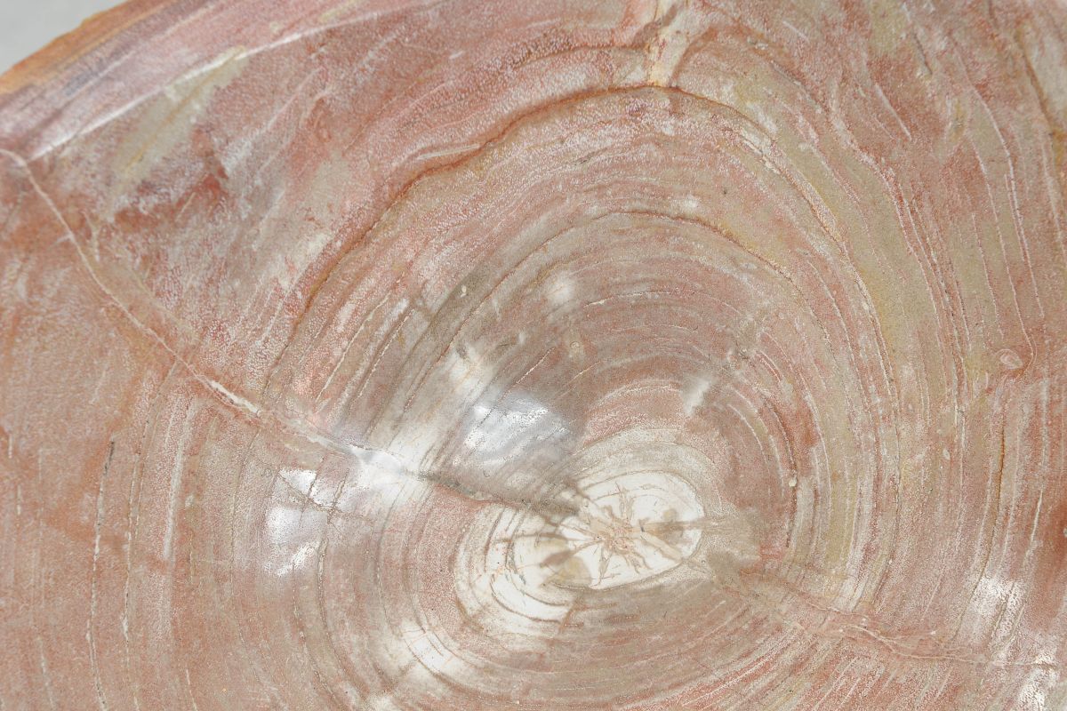 Lavandino da appoggio in legno pietrificato - 50228