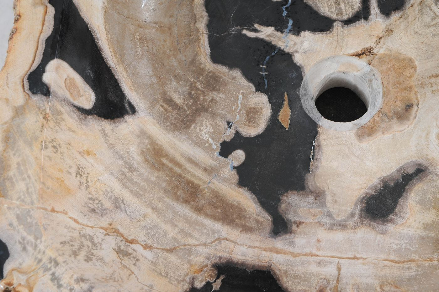 Lavandino da appoggio  in legno pietrificato - 55281