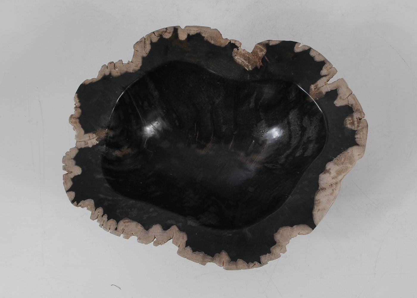 Ciotola in legno pietrificato - 51336