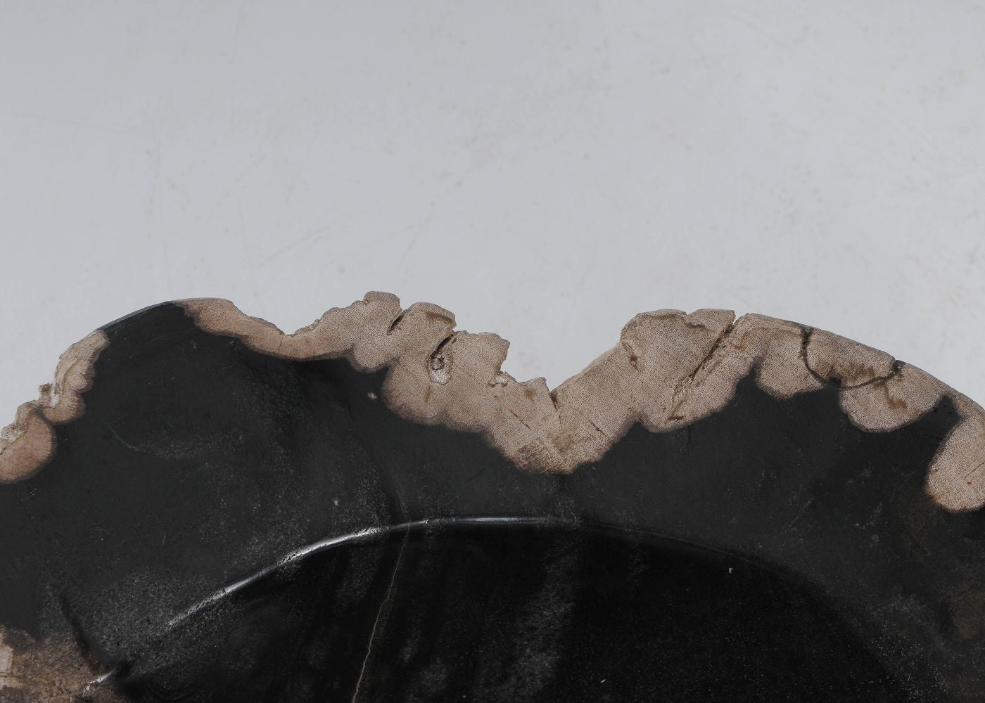 Ciotola in legno pietrificato - 51336