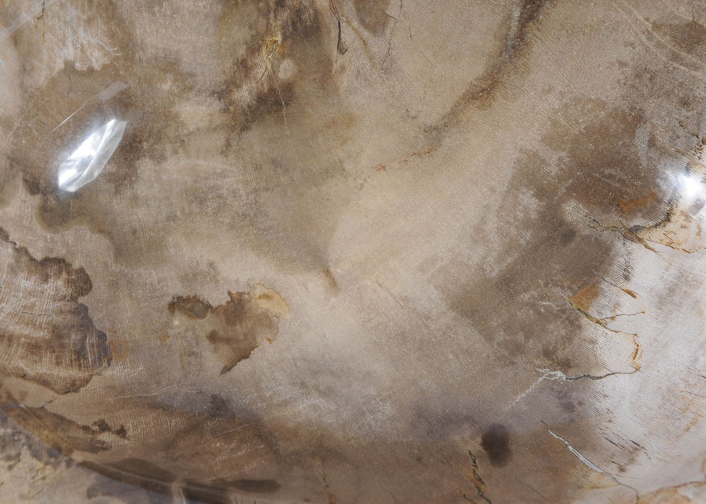 Ciotola in legno pietrificato - 57003