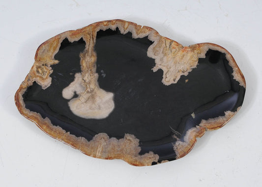Ciotola in legno pietrificato - 57334