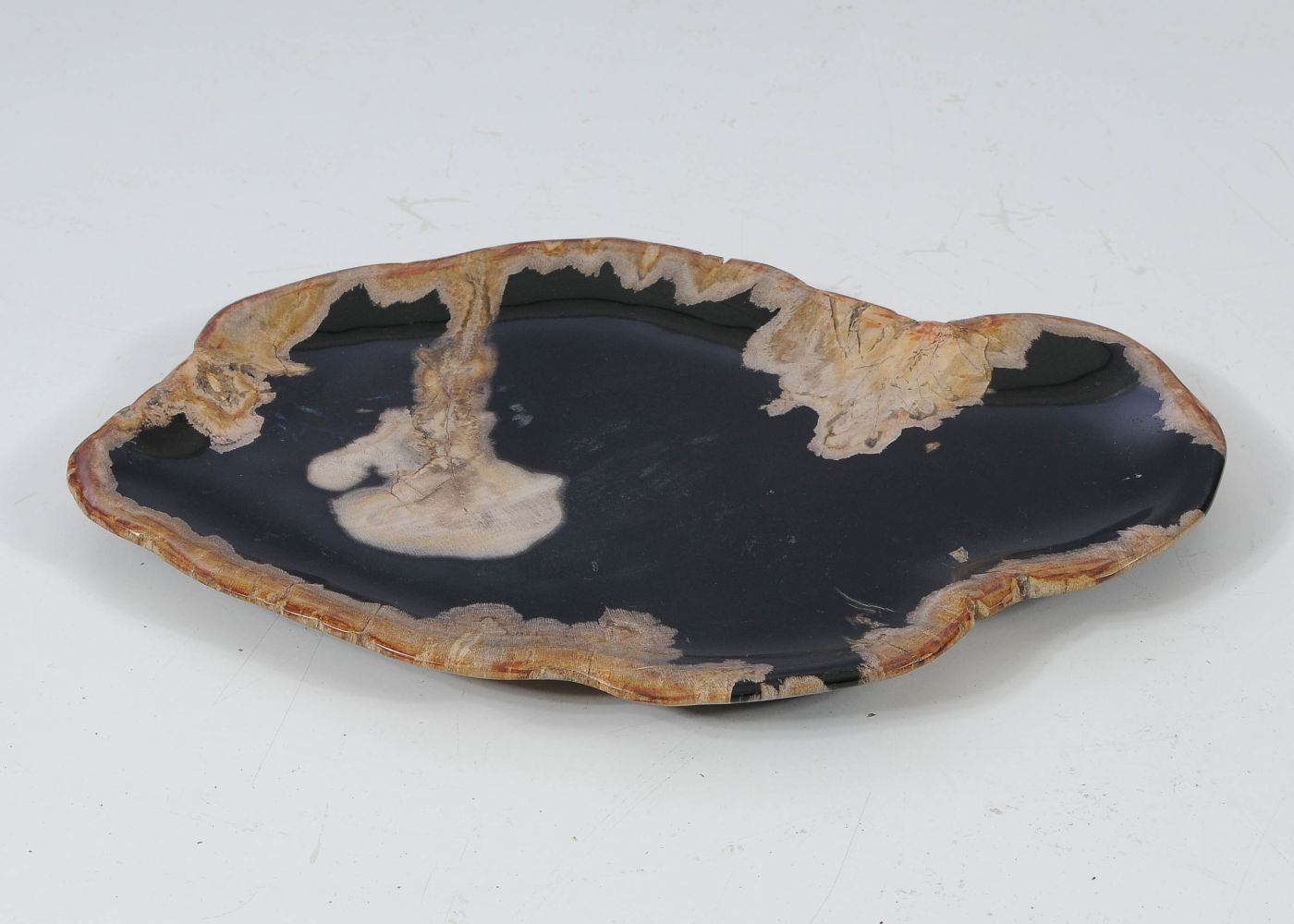 Ciotola in legno pietrificato - 57334