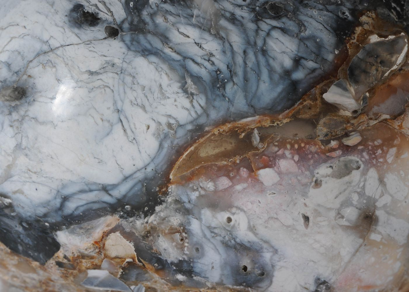 Ciotola in legno pietrificato - 58020