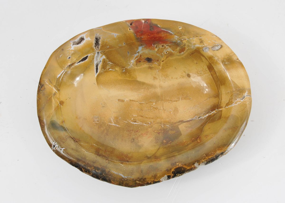 Piatto in legno fossile - 43038