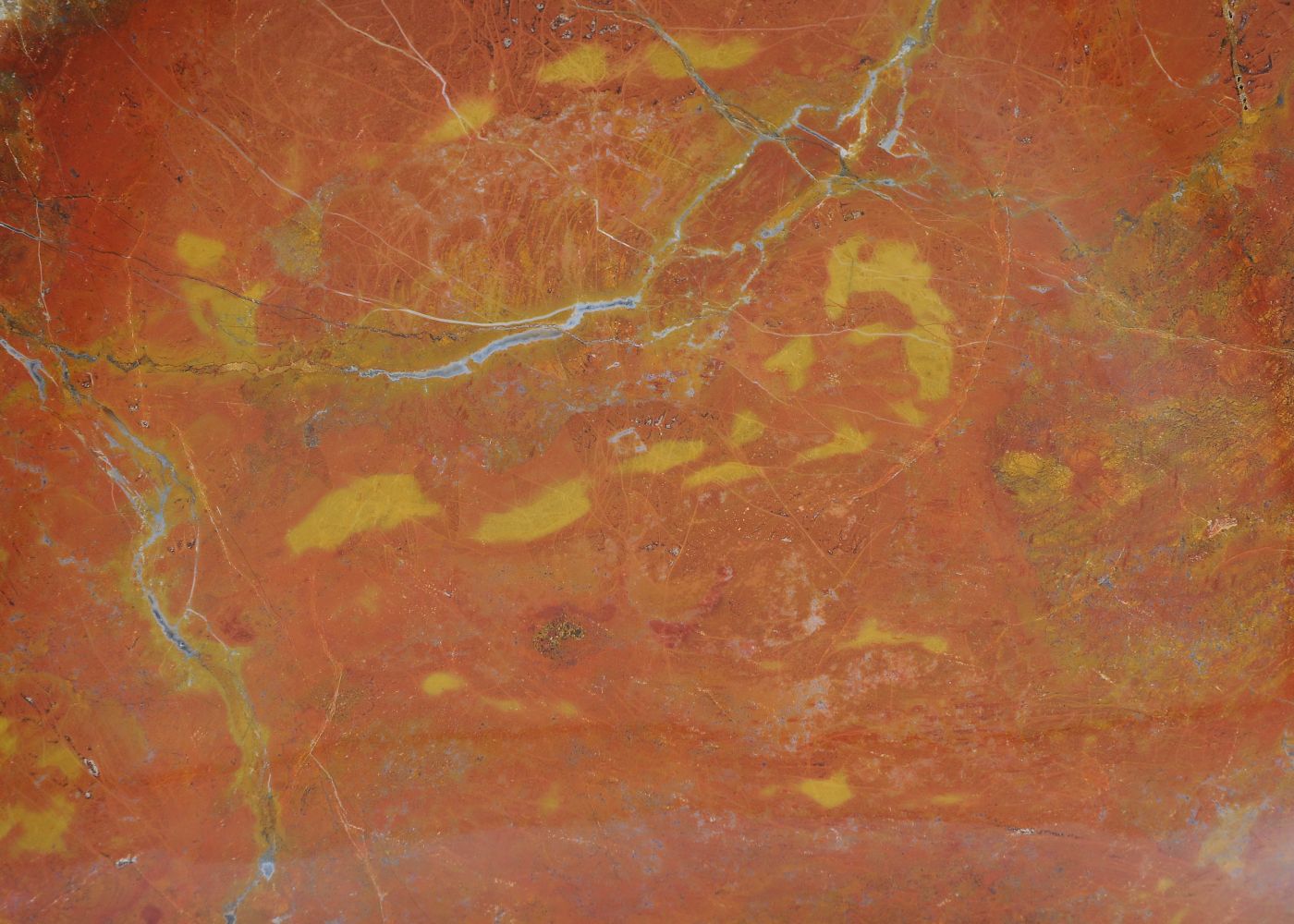 Piatto in legno fossile - 54088