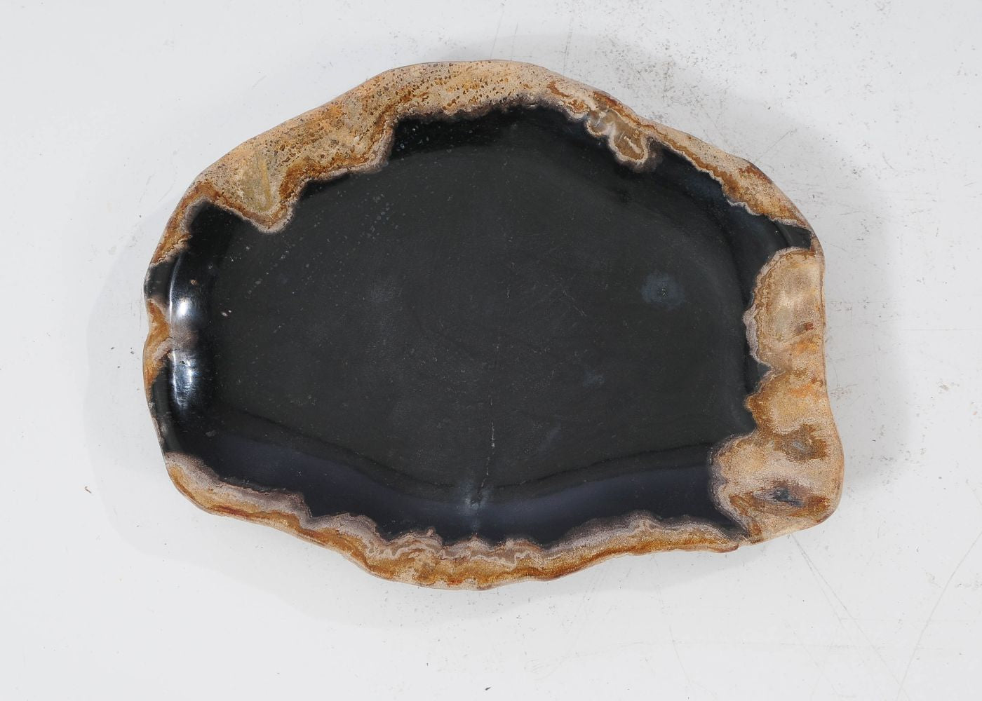 Piatto in legno fossile - 54104