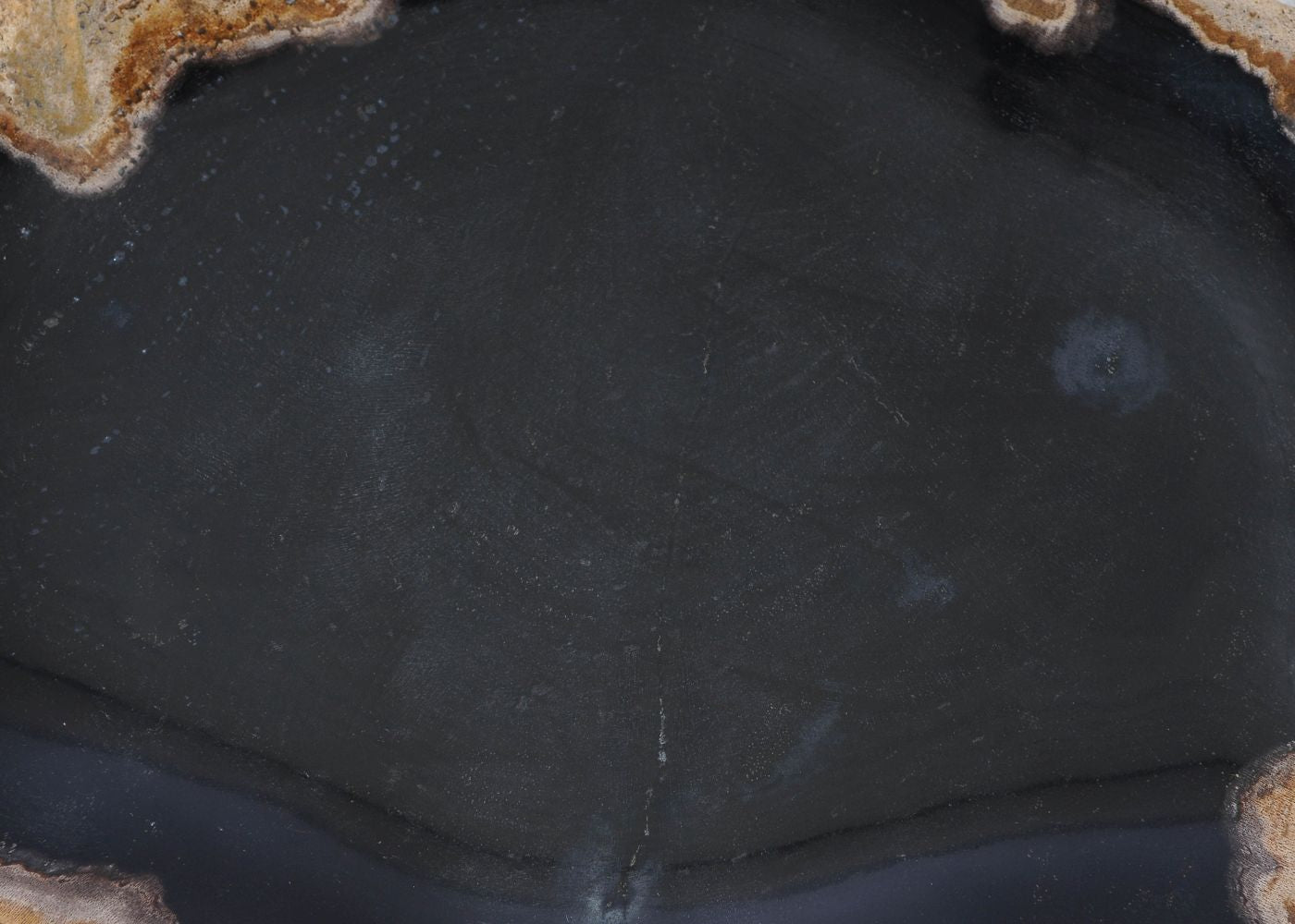Piatto in legno fossile - 54104