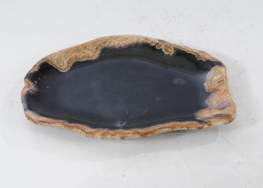 Piatto in legno fossile - 54104