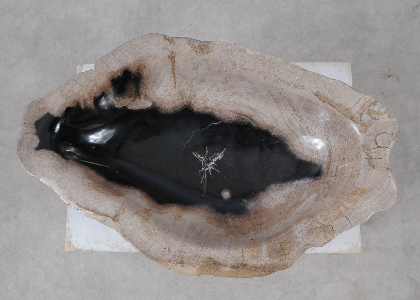 Piatto in legno fossile - 57011