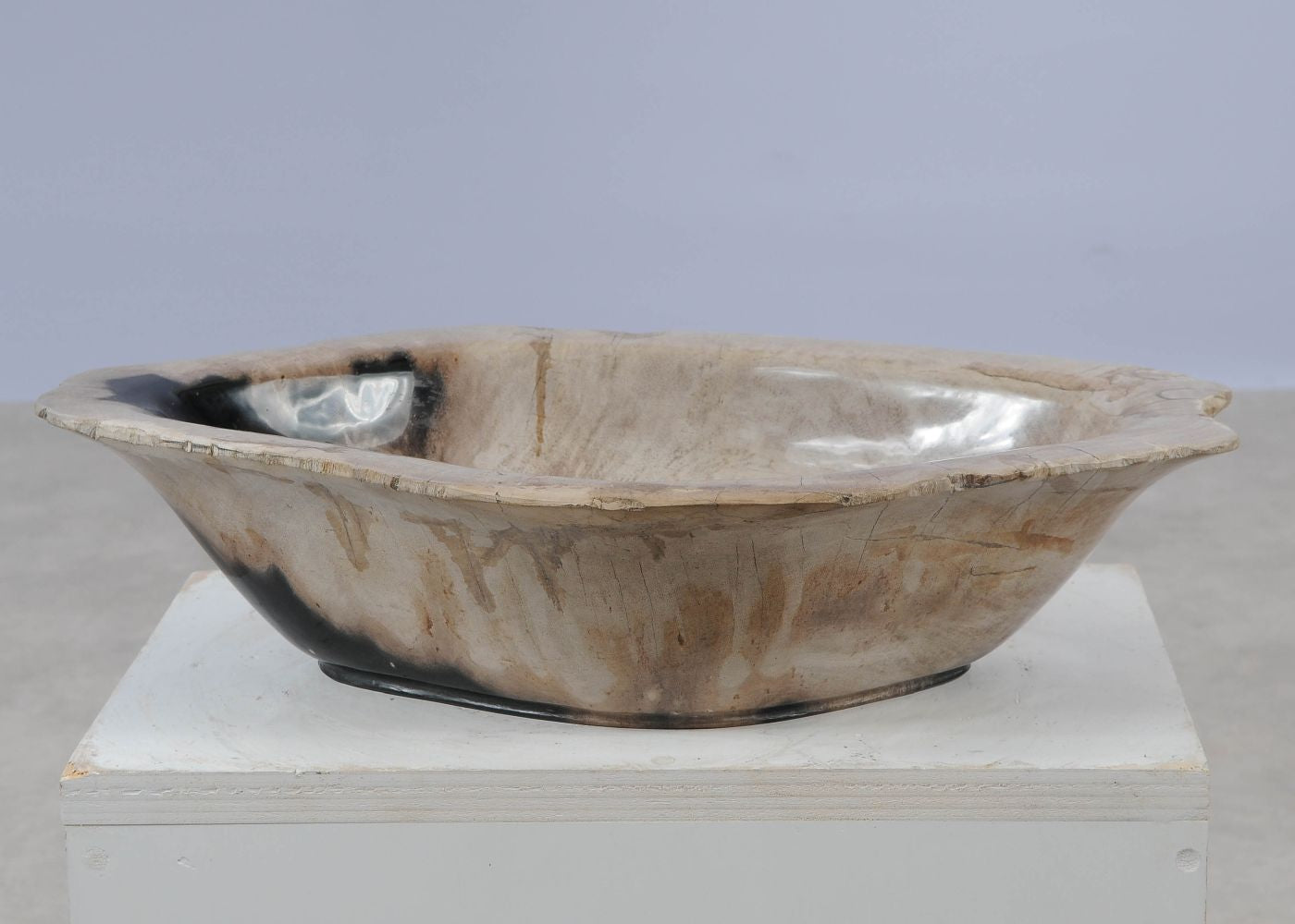 Piatto in legno fossile - 57011