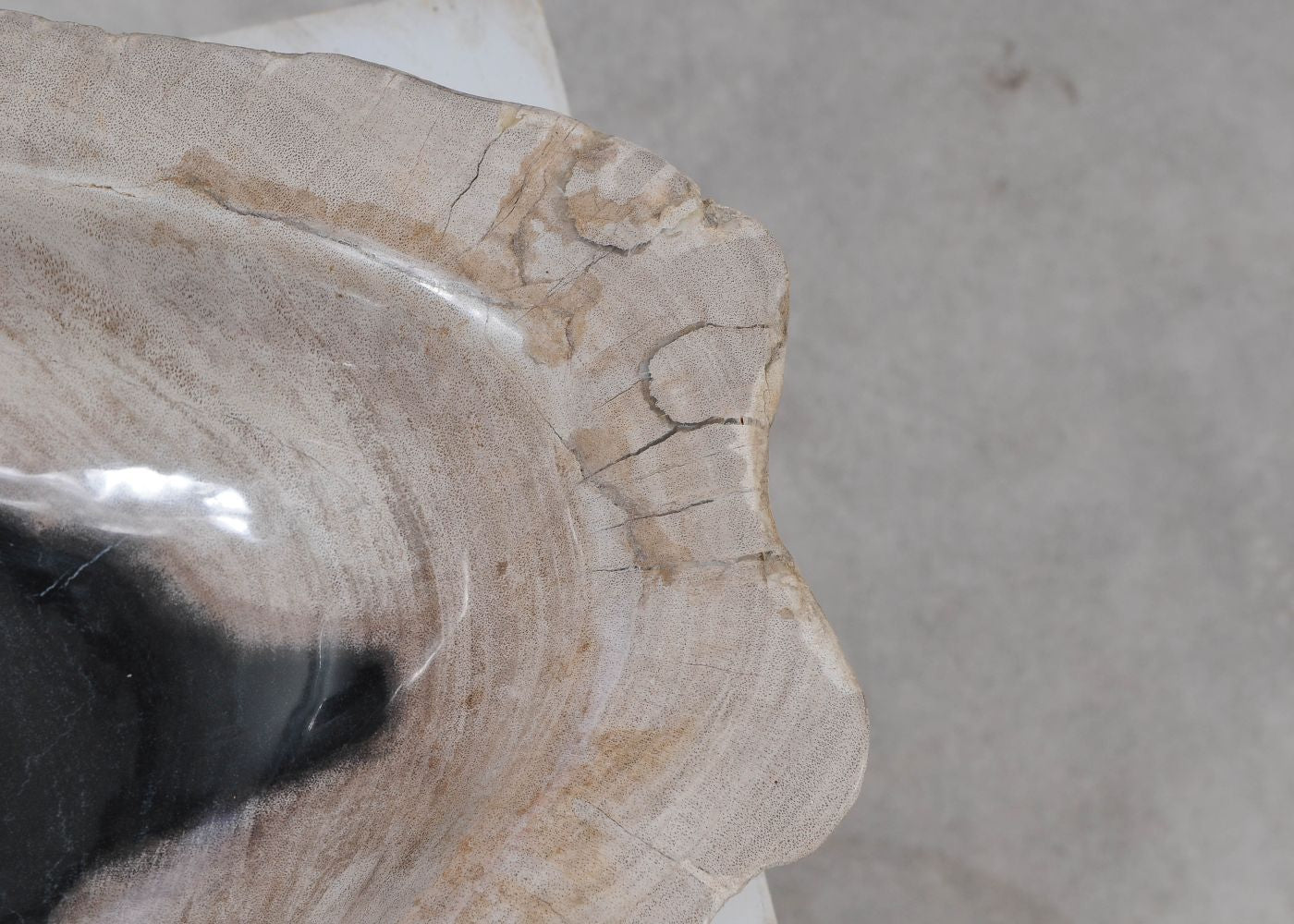 Piatto in legno fossile - 57011