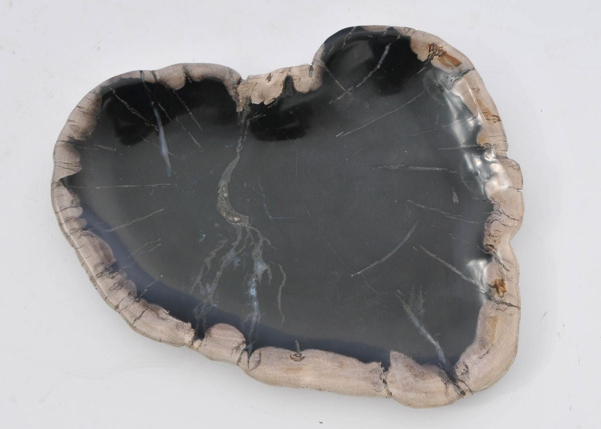 Piatto in legno fossile - 42079M