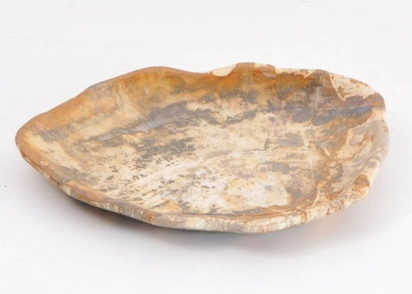 Piatto in legno fossile - 43068E