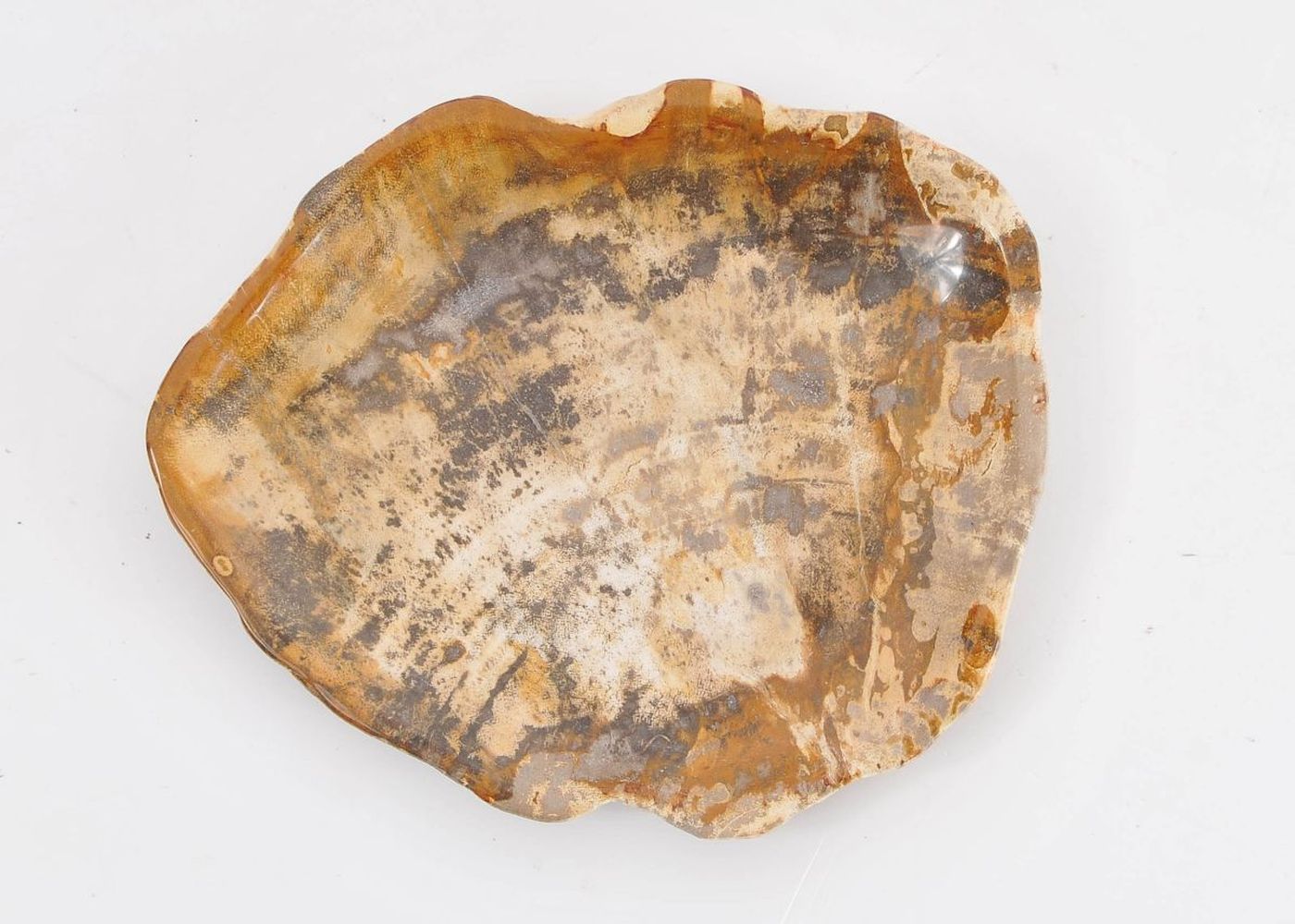 Piatto in legno fossile - 43068E