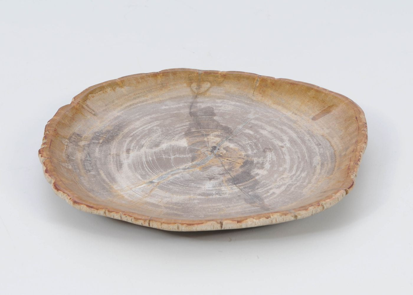 Piatto in legno fossile - 51072