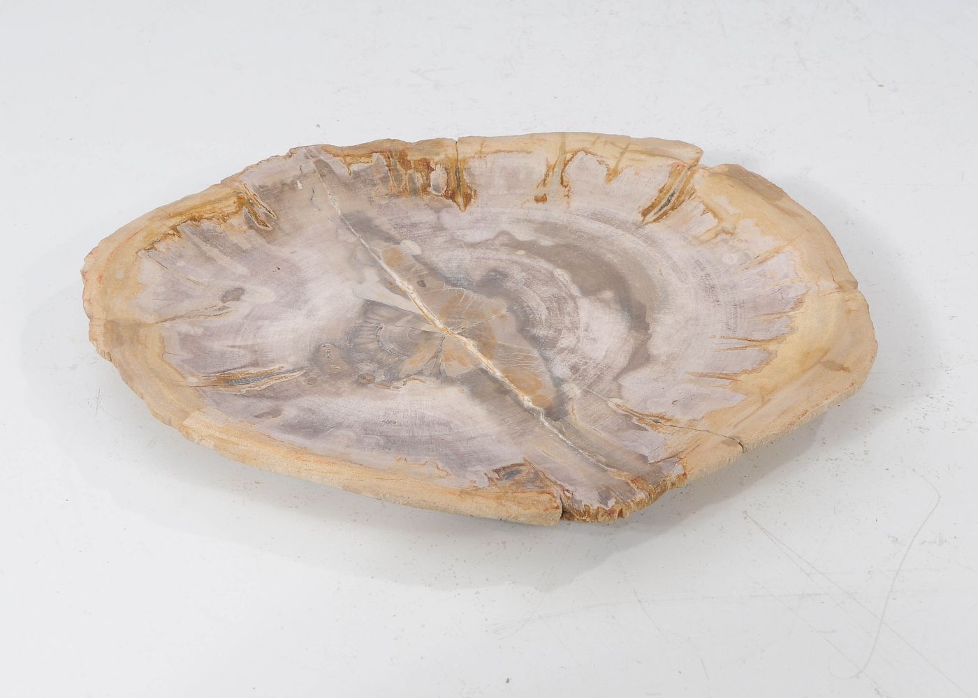 Piatto in legno fossile - 54070