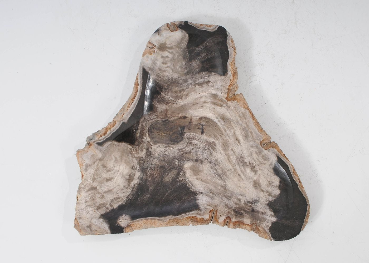 Piatto in legno fossile - 54273