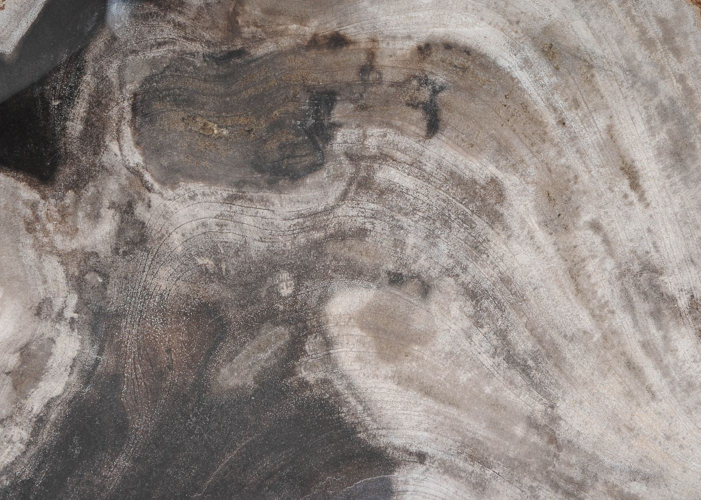 Piatto in legno fossile - 54273