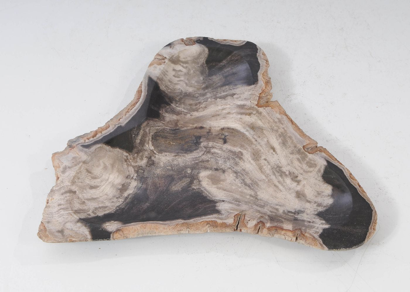 Piatto in legno fossile - 54273