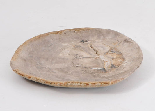 Piatto in legno fossile - 43071J