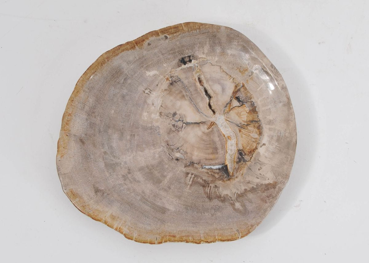 Piatto in legno fossile - 43071J