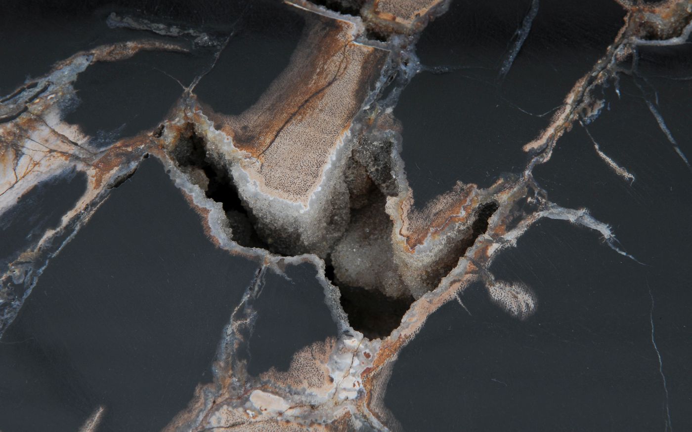 Lastra per tavolino in legno fossile - 53280