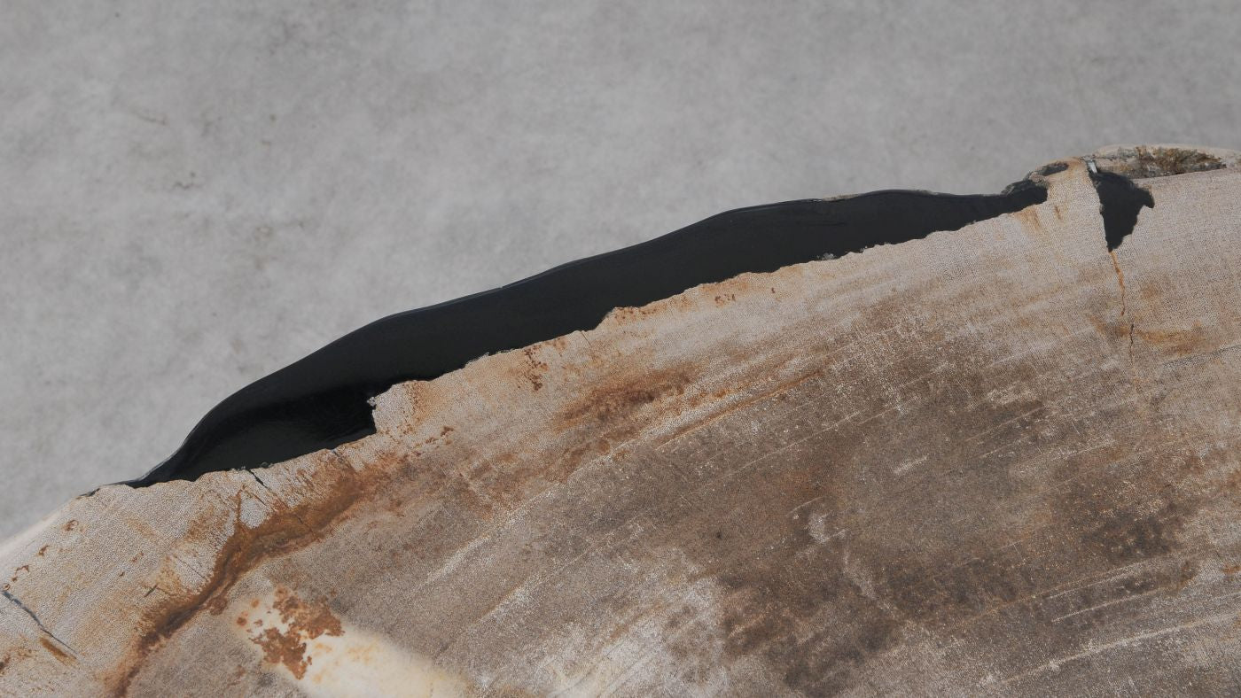 Lastra per tavolino in legno fossile - 53280