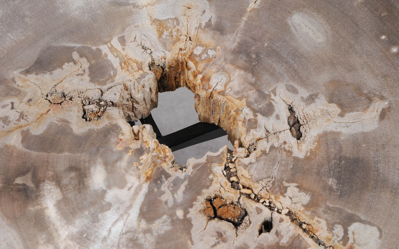 Lastra per tavolino in legno fossile - 55166