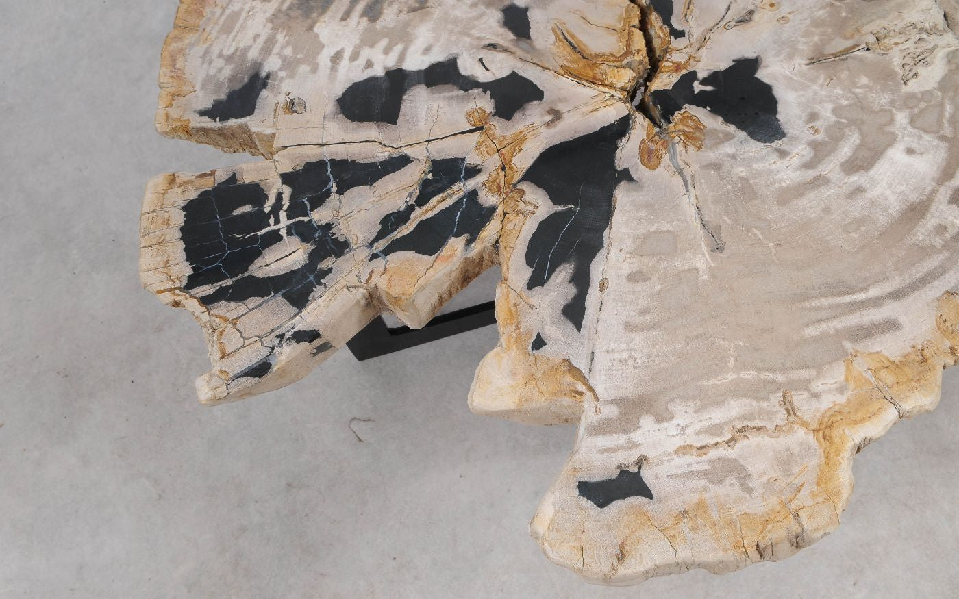 Lastra per tavolino in legno fossile - 55289