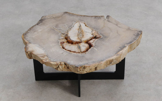 Lastra per tavolino in legno fossile - 60324