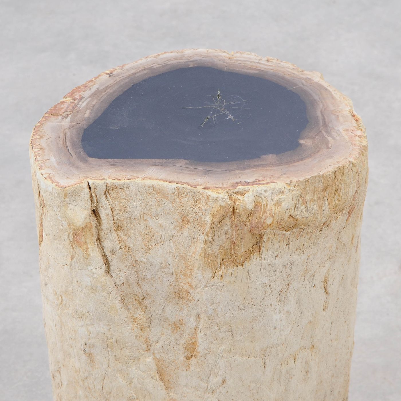 Tavolino tronco pietrificato bianco - 51037