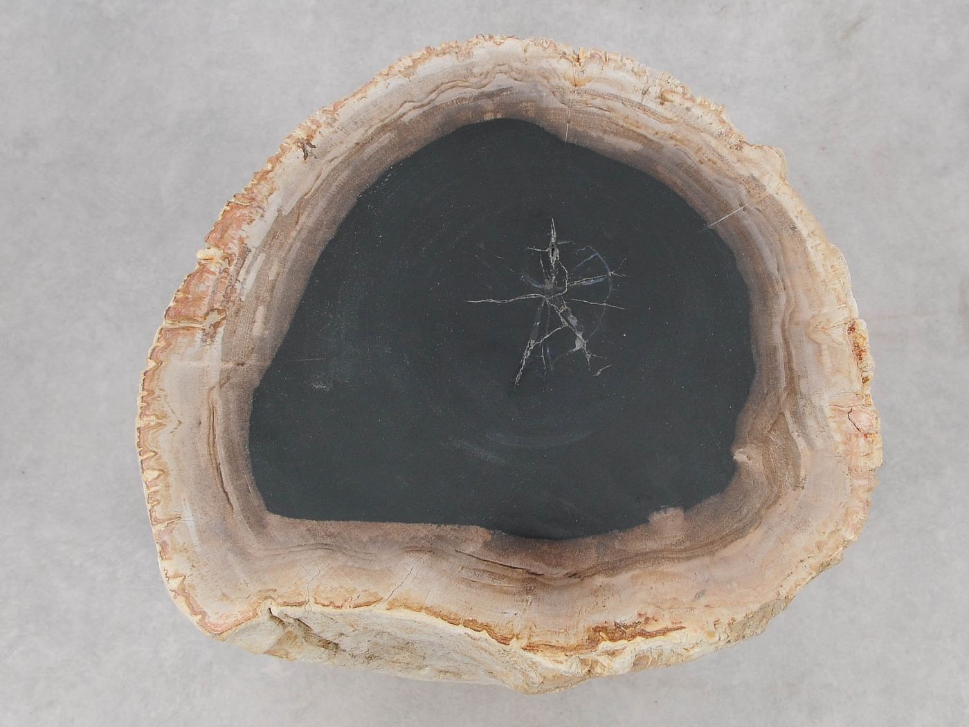 Tavolino tronco pietrificato bianco - 51037