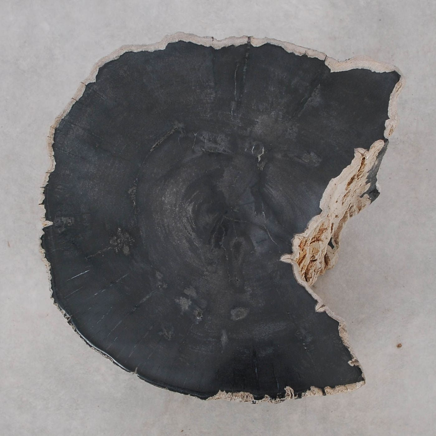 Tavolino tronco pietrificato nero - 51324