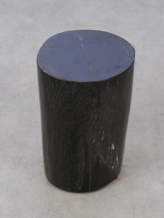 Tavolino tronco in legno pietrificato - 53005