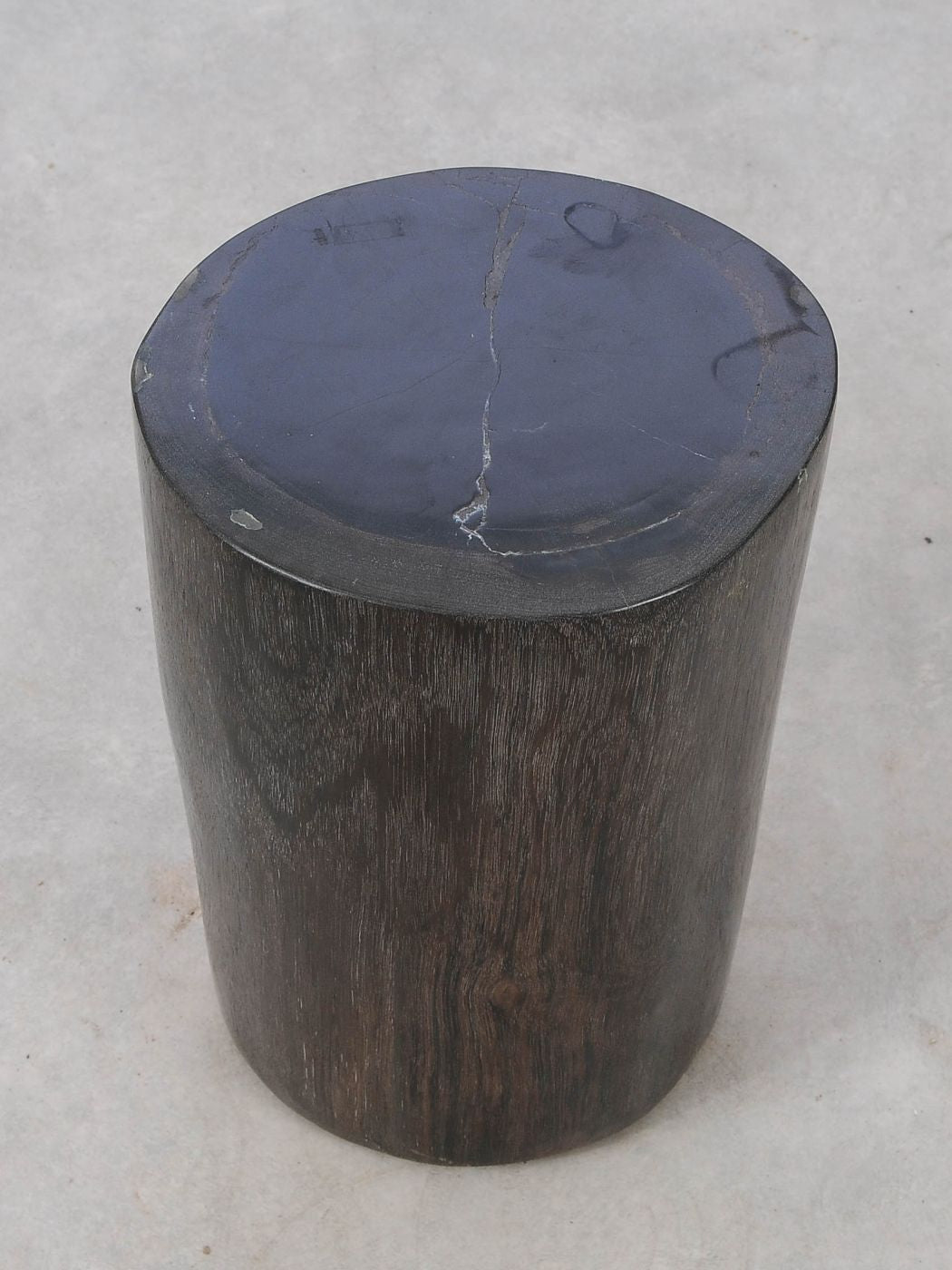 Tavolino tronco in legno pietrificato - 53005