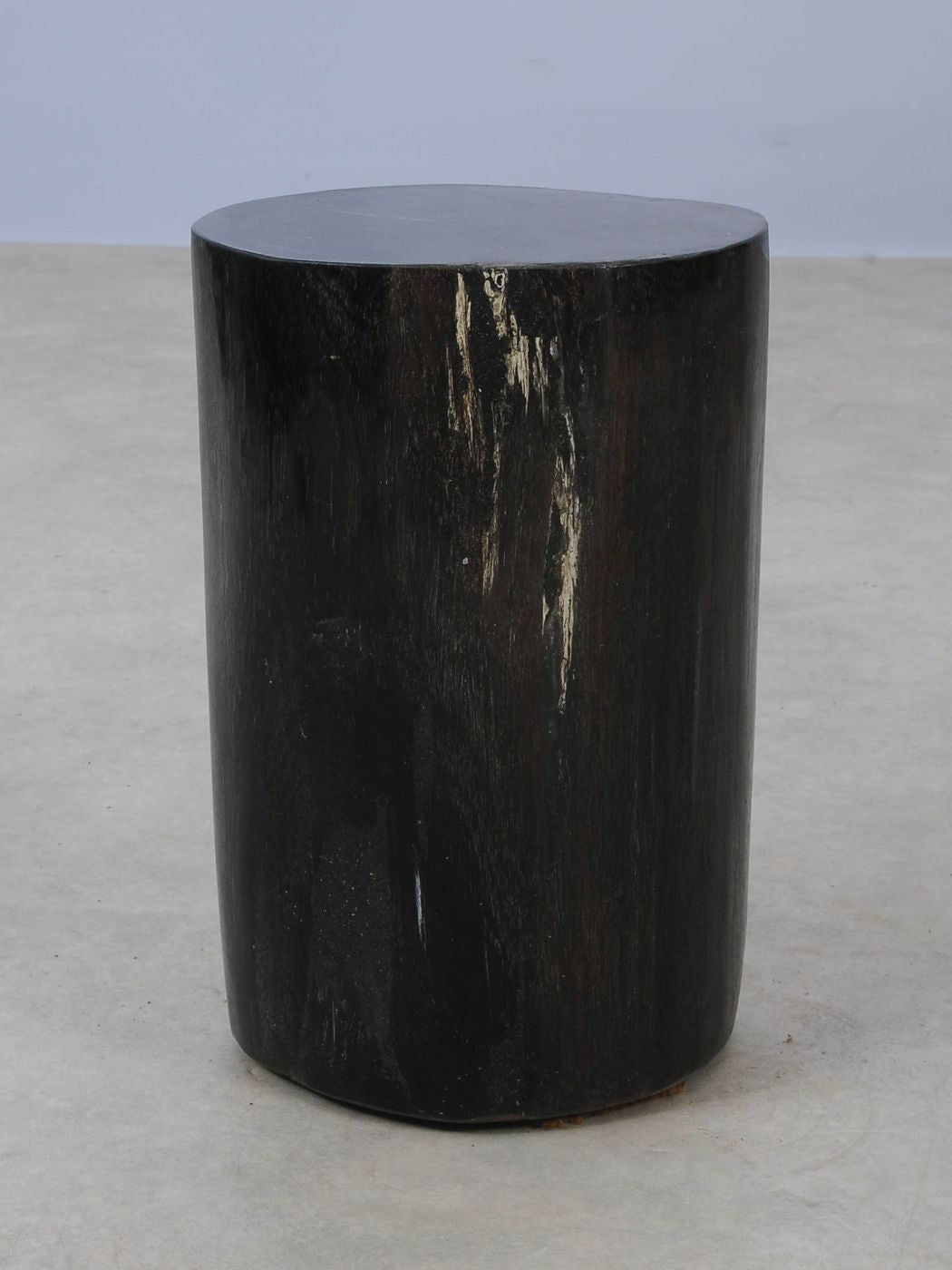 Tavolino tronco in legno pietrificato - 53001